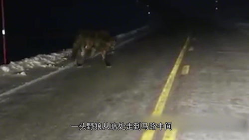 男女晚上一起疏通管道会怎么样(男女晚上一起疏通管道会怎么样呢)