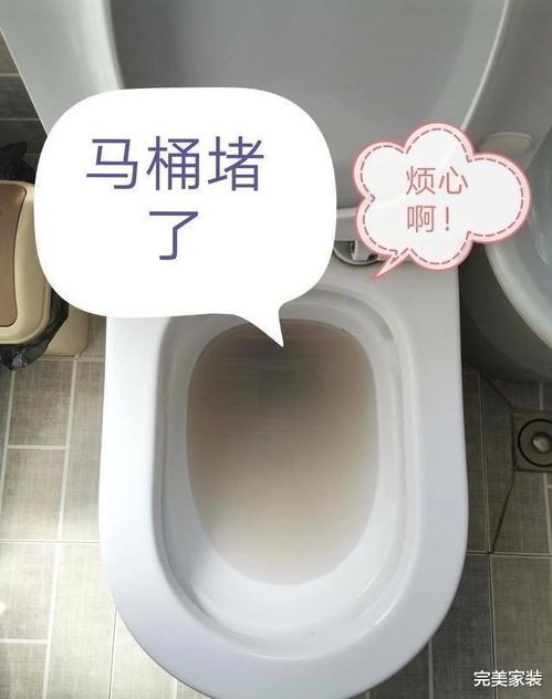 马桶管道疏通器管用不了怎么办(用马桶疏通器咋通不进去)