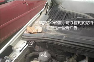雪铁龙c5天窗管道漏水怎么疏通(雪铁龙c5天窗有几个排水孔) 雪铁龙c5天窗管道漏水怎么疏通(雪铁龙c5天窗有几个排水孔)