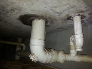 防水材料把下水管道堵了怎么疏通(防水材料堵了下水道怎么办)