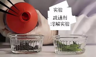 兔力管道疏通剂通下水道怎么用(兔力管道通效果怎么样) 兔力管道疏通剂通下水道怎么用(兔力管道通效果怎么样)