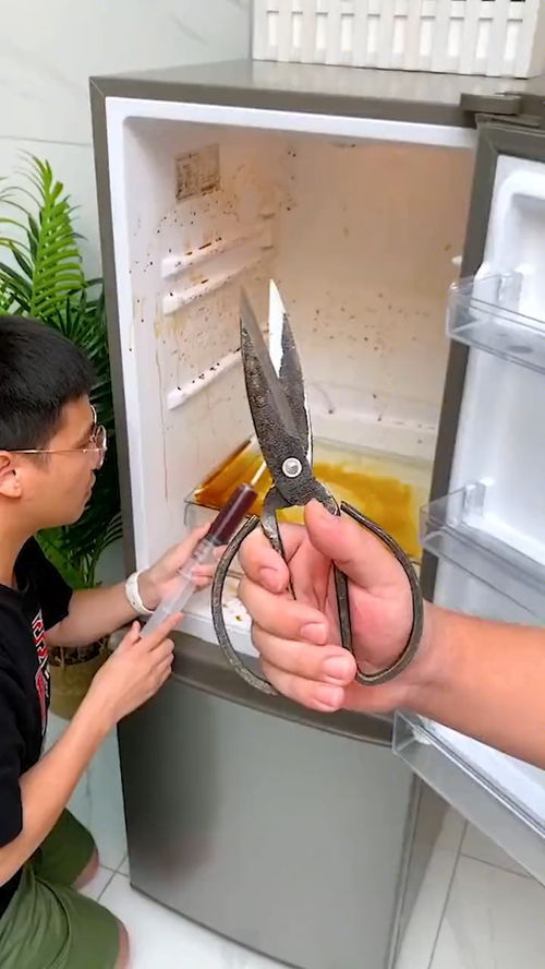 冰箱管道疏通神器堵住了怎么办(冰箱疏通管堵塞) 冰箱管道疏通神器堵住了怎么办(冰箱疏通管堵塞)