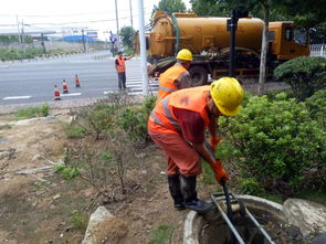 下水管道长了棵树堵住了怎么疏通(下水管道长了棵树堵住了怎么疏通呢)