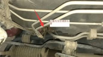 新轩逸怎么疏通排水管道(轩逸排水孔堵塞清理教程)