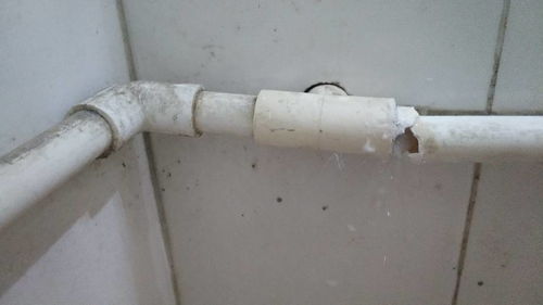 南阳台下水管道堵了怎么疏通(南阳台下水管道堵了怎么疏通呢) 南阳台下水管道堵了怎么疏通(南阳台下水管道堵了怎么疏通呢)