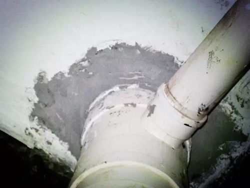 管道里面有泡沫胶怎么样疏通(管道里面有泡沫胶怎么样疏通掉)