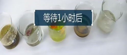 管道疏通剂错倒水壶了怎么办(管道疏通剂倒了一瓶) 管道疏通剂错倒水壶了怎么办(管道疏通剂倒了一瓶)