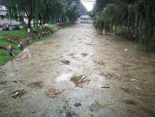 蓬江本地污水管道疏通清洗怎么样(蓬江区水环境治理综合二期)
