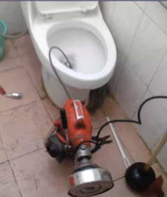 水老鼠疏通器清理管道油污怎么样(水老鼠 疏通)
