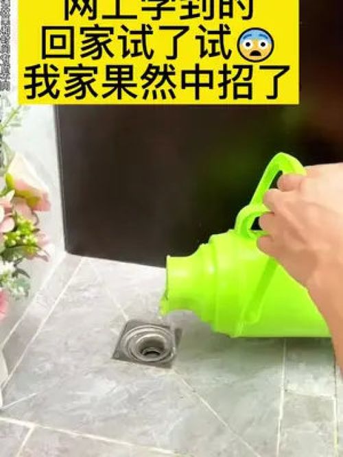 厨房管道疏通剂小飞虫怎么去除(厨房管道疏通剂小飞虫怎么去除掉)