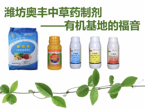 维康管道疏通剂怎么用效果好(维康管道疏通剂怎么用效果好呢)