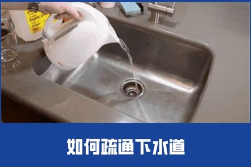 啄木鸟管道的疏通器怎么用(啄木鸟管道疏通怎么样) 啄木鸟管道的疏通器怎么用(啄木鸟管道疏通怎么样)