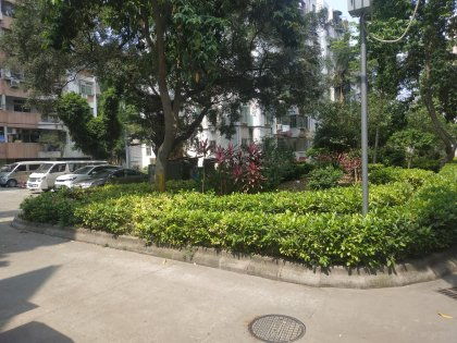 街心花园管道疏通怎么样(街心花园是什么)