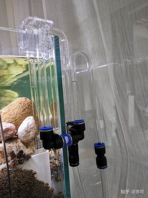 水陆鱼缸管道疏通器怎么用(水陆缸水道) 水陆鱼缸管道疏通器怎么用(水陆缸水道)
