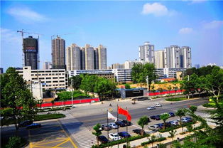 霞光府下水管道堵了怎么疏通(霞光府小区) 霞光府下水管道堵了怎么疏通(霞光府小区)
