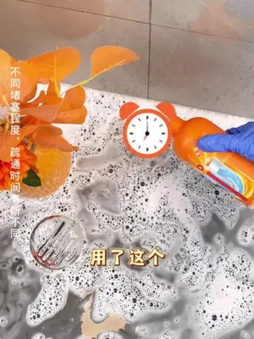 管道有小飞虫疏通剂怎么办(管道有小飞虫用什么药物)