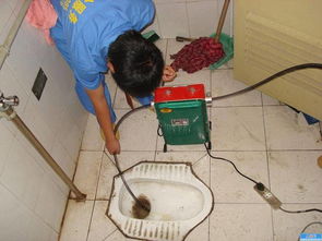 猫砂堵蹲便器怎么疏通管道(猫砂堵蹲便器怎么疏通管道的)