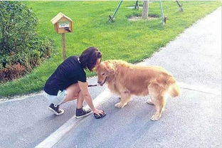 狗在疏通管道会怎么样吗(小狗在下水管道出不来怎么办)