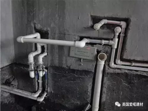 排水管道有树根怎么疏通(排水管长树根怎么办) 排水管道有树根怎么疏通(排水管长树根怎么办)
