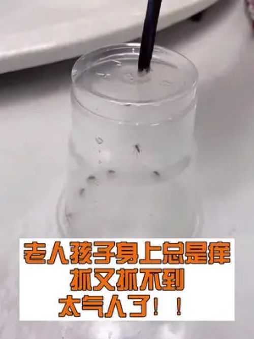 小飞管道疏通剂好用吗怎么用(小飞管道疏通剂好用吗怎么用的)