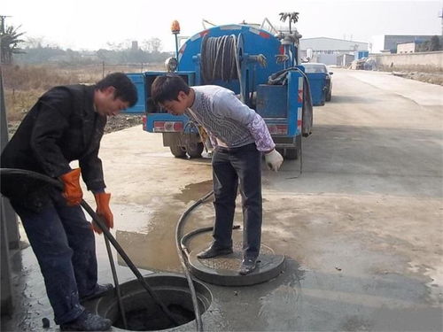 管道管养疏通方案设计怎么写(管道疏通养护剂怎么用)