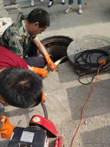 管道疏通后还有虫子吗怎么办(管道疏通会打破管子么) 管道疏通后还有虫子吗怎么办(管道疏通会打破管子么)