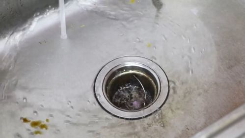 塑料管道被压瘪怎么疏通(塑料管道被压瘪怎么疏通下水道)
