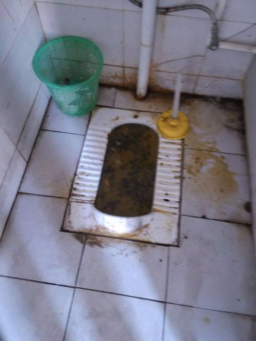 厨房排水管道怎么疏通图解(厨房排水管堵塞用什么疏通最好)