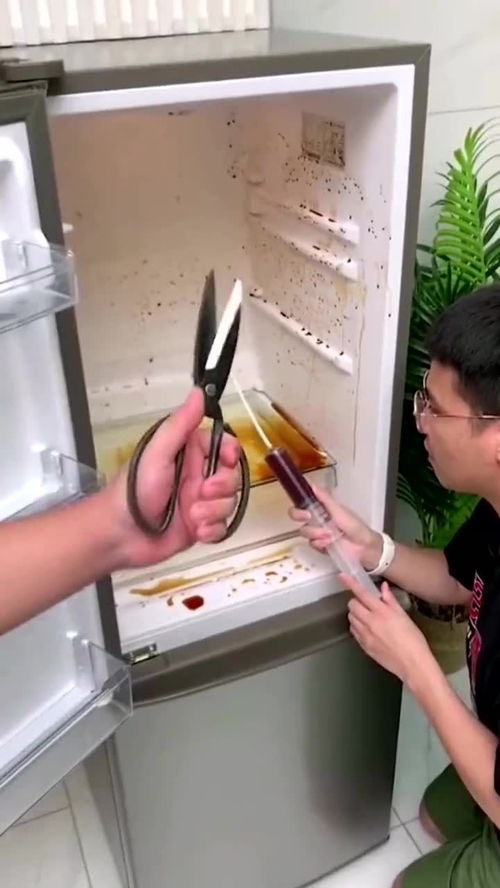 多功能冰箱管道疏通器怎么使用(冰箱疏通器多少钱) 多功能冰箱管道疏通器怎么使用(冰箱疏通器多少钱)