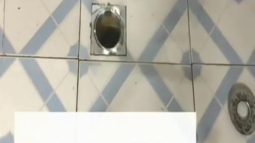 倒着疏通下水管道怎么办(倒着疏通下水管道怎么办图片)