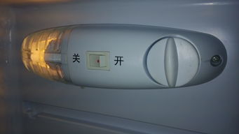 赛亿冰箱bc98怎么疏通管道(赛亿冰箱bcd112说明书)