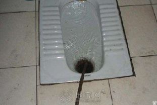 管道疏通不拐弯怎么办呢(管道疏通不了怎么办)
