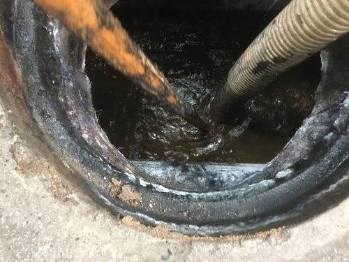 鱼磷堵了管道怎么疏通呢(鱼鳞堵塞管道用什么疏通)