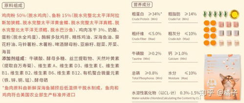疏通管道的成语怎么说的(管道疏通词语)