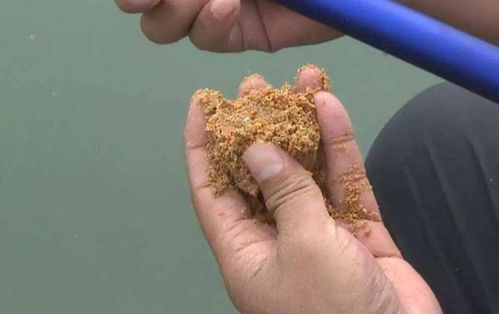 蜜蜂窝堵住了怎么疏通管道(把蜜蜂窝堵住有没有用) 蜜蜂窝堵住了怎么疏通管道(把蜜蜂窝堵住有没有用)