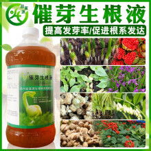 果蔬园管道疏通剂怎么用(果蔬园管道疏通剂怎么用的)