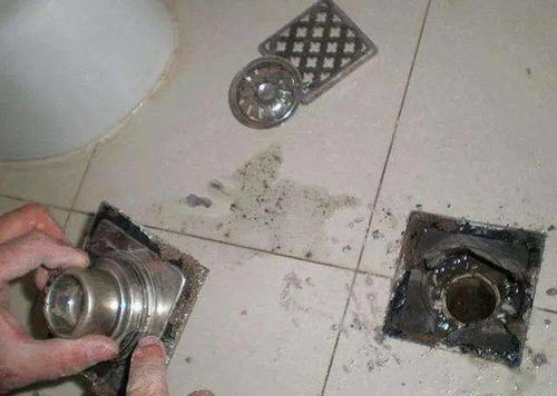地漏堵了怎么样疏通管道(地漏堵了如何疏通)
