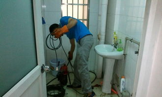 水老鼠疏通家里管道怎么办(水老鼠疏通家里管道怎么办啊)