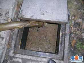 疏通化粪池的管道怎么处理(疏通化粪池的管道怎么处理好)