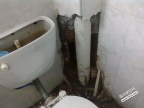 家里水管道怎么疏通好呢(家里水管如何疏通)