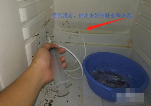 怎么清洁疏通冰箱管道的东西(如何疏通冰箱) 怎么清洁疏通冰箱管道的东西(如何疏通冰箱)
