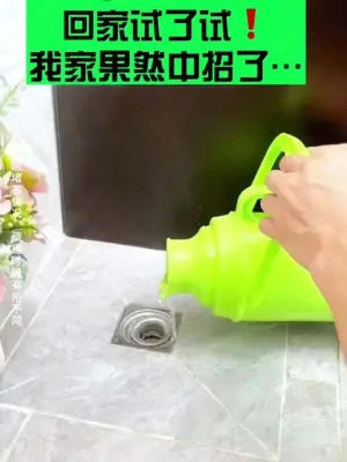 管道疏通小虫子怎么办(管道疏通剂治小飞虫吗)