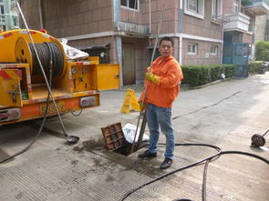 抽粪泵堵住了怎么疏通管道(抽粪泵堵住了怎么疏通管道呢)
