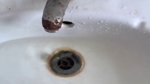 鱼堵了下水管道怎么疏通(鱼堵下水道了怎么办) 鱼堵了下水管道怎么疏通(鱼堵下水道了怎么办)