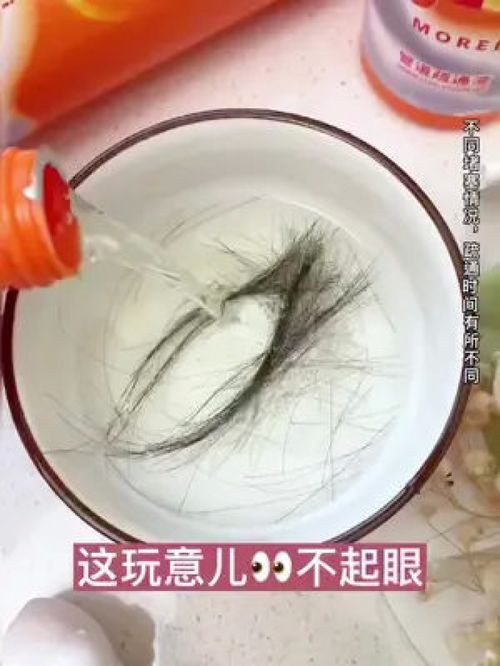 下水管道疏通小飞虫怎么去除(下水管道的小飞虫咋治)