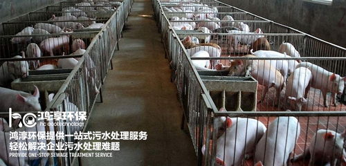 养鸡场污水管道怎么疏通(养鸡场的污水怎么处理) 养鸡场污水管道怎么疏通(养鸡场的污水怎么处理)