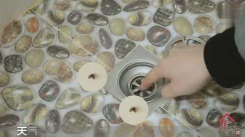 卫生间飞虫怎么消灭疏通管道(卫生间飞虫怎么消灭掉) 卫生间飞虫怎么消灭疏通管道(卫生间飞虫怎么消灭掉)