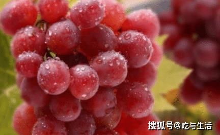 管道疏通剂有响声怎么办(管道疏通剂一直有气泡出来)