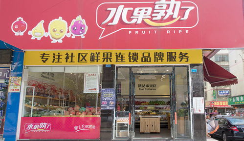 支付宝疏通管道怎么用的(支付宝管道疏通多少钱) 支付宝疏通管道怎么用的(支付宝管道疏通多少钱)