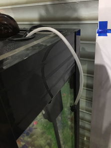 怎么疏通鱼缸氧气管道呢(如何向鱼缸里通氧气) 怎么疏通鱼缸氧气管道呢(如何向鱼缸里通氧气)